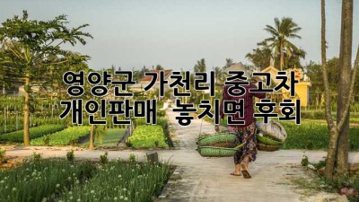영양군 가천리 중고차 개인판매 🚗💨 놓치면 후회!