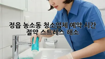 정읍 농소동 청소업체 예약: 시간 절약, 스트레스 해소!